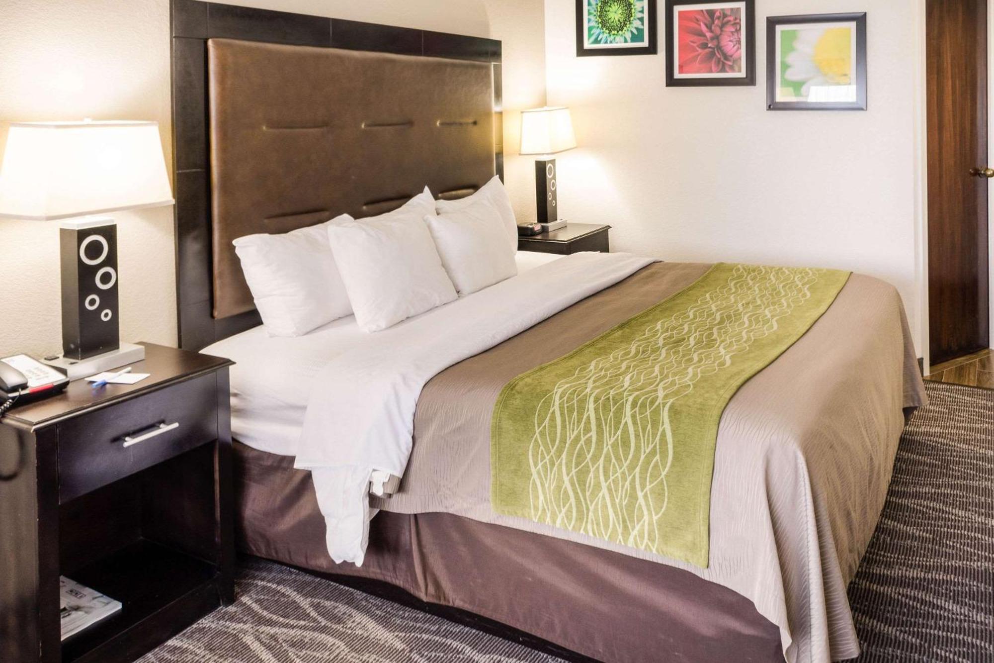 Comfort Inn Downtown Charleston Eksteriør bilde